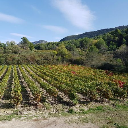 Les Tuileries De Lencieux Lejlighed Gigondas Eksteriør billede